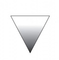 Draft lens13366671 1284351102asexual triangle.jpg